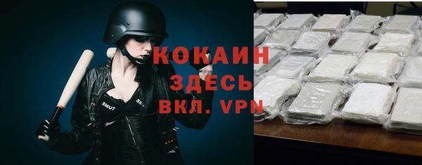 PSILOCYBIN Абаза