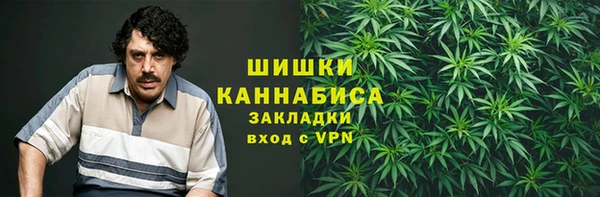 PSILOCYBIN Абаза