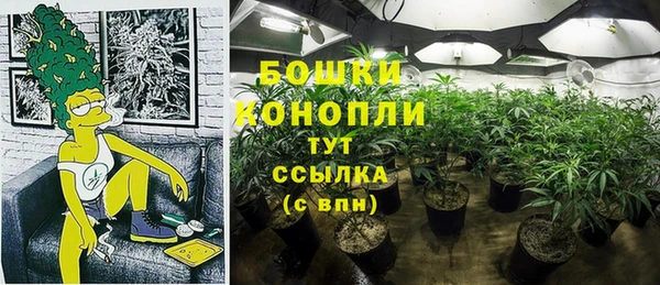 PSILOCYBIN Абаза