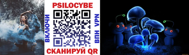 Псилоцибиновые грибы ЛСД  Щёкино 