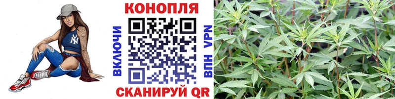 Каннабис ГИДРОПОН  Щёкино 